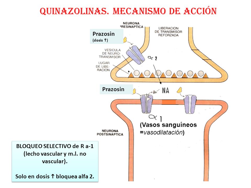 prazosina para la próstata prazosina para la próstata